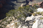 Grand Canyon Trip 2010 368